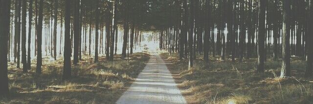 Hardus de Beer banner