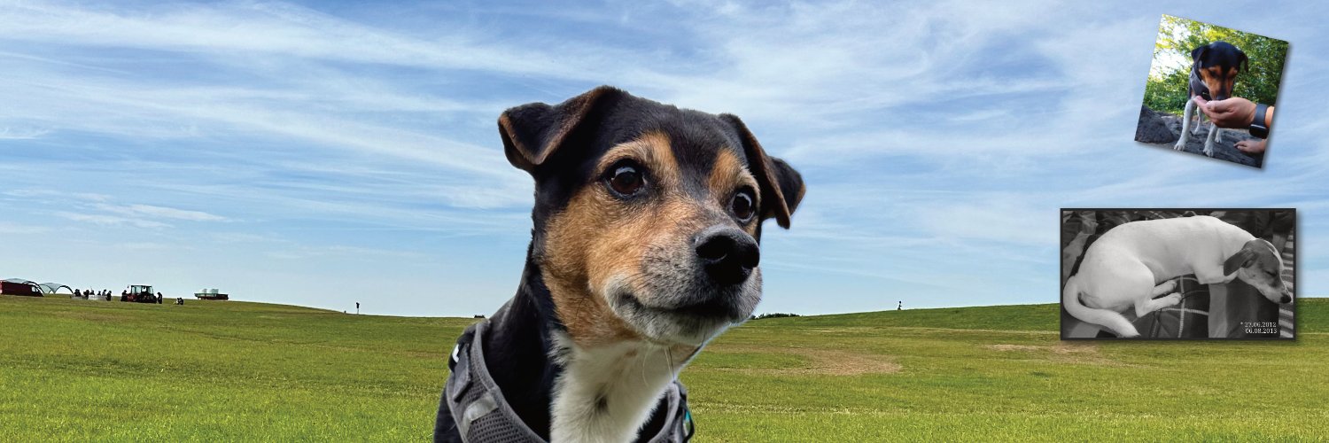 wattblicker's profile banner image