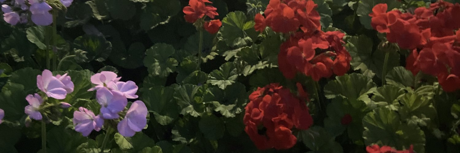 kenyHg's profile banner image