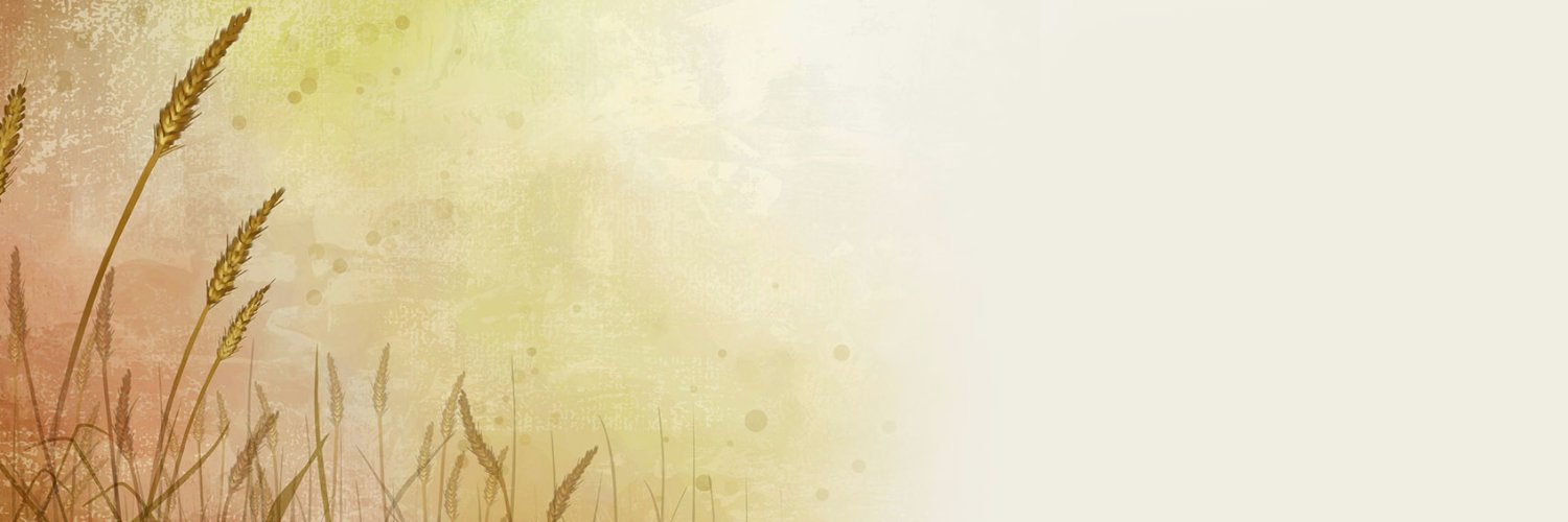 trtur| ETHGas ⛽ banner