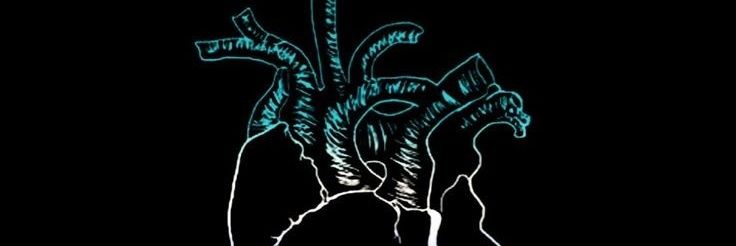 Axellnb's profile banner image