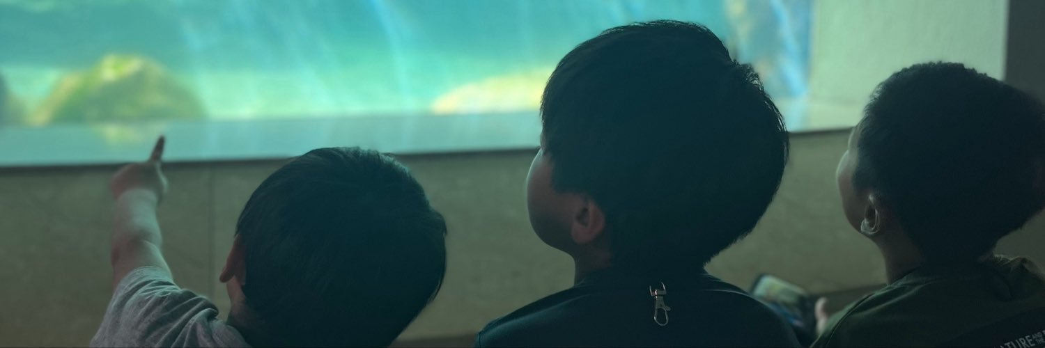 NAO2_M0's profile banner image