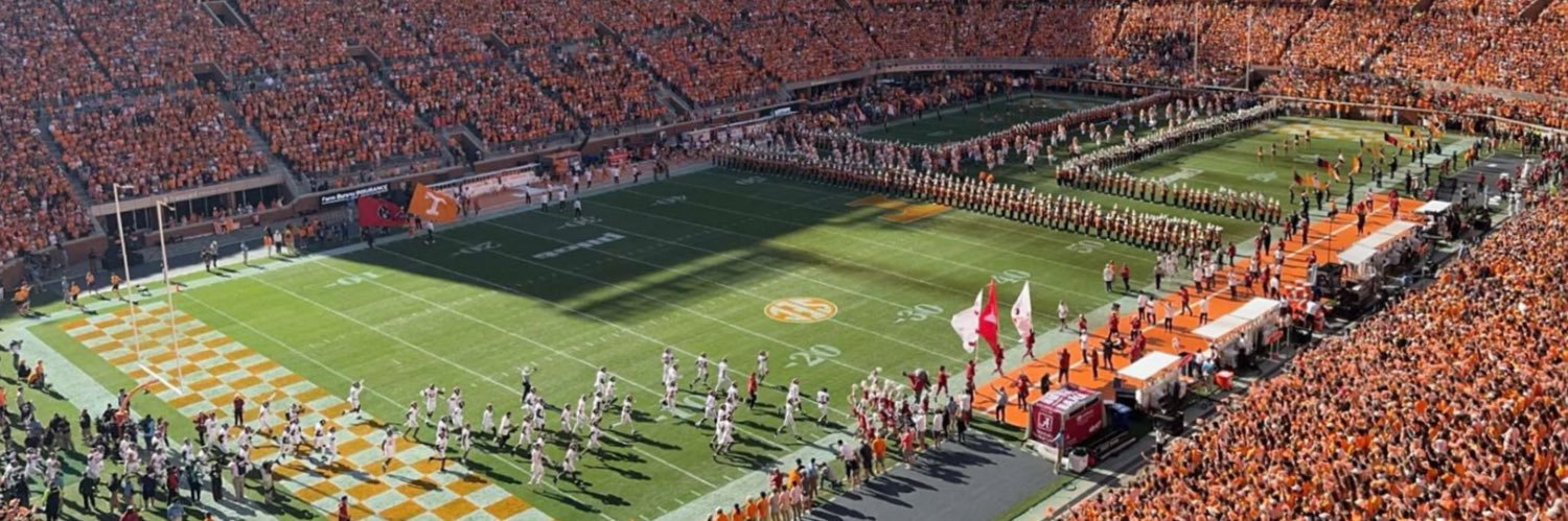 megavolwill🍊's banner
