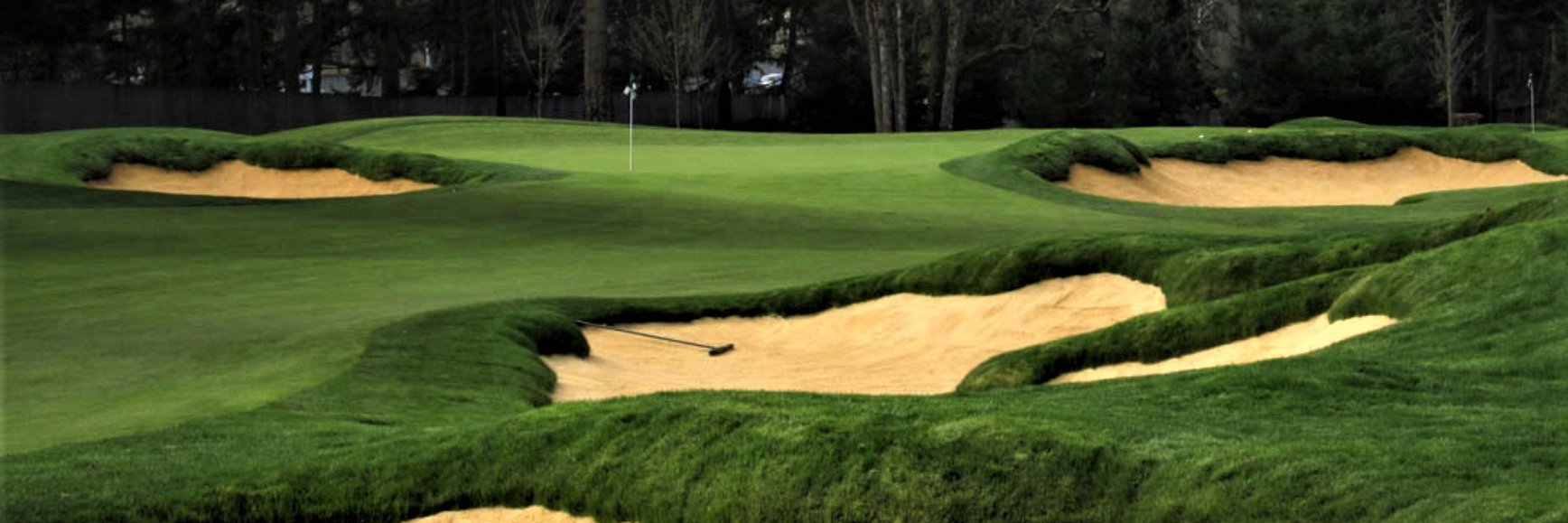 Ridgetop Golf banner