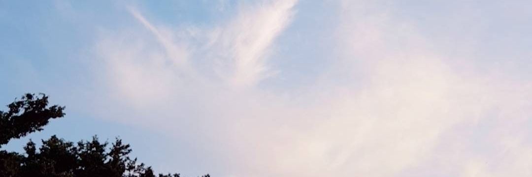 ____plzStop's profile banner image