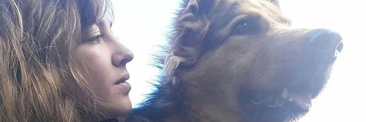 Mariidutto's profile banner image