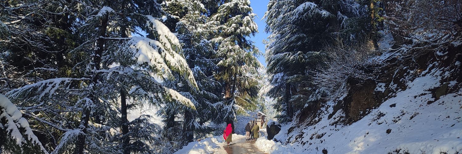 Mohammad Syeed Beg banner