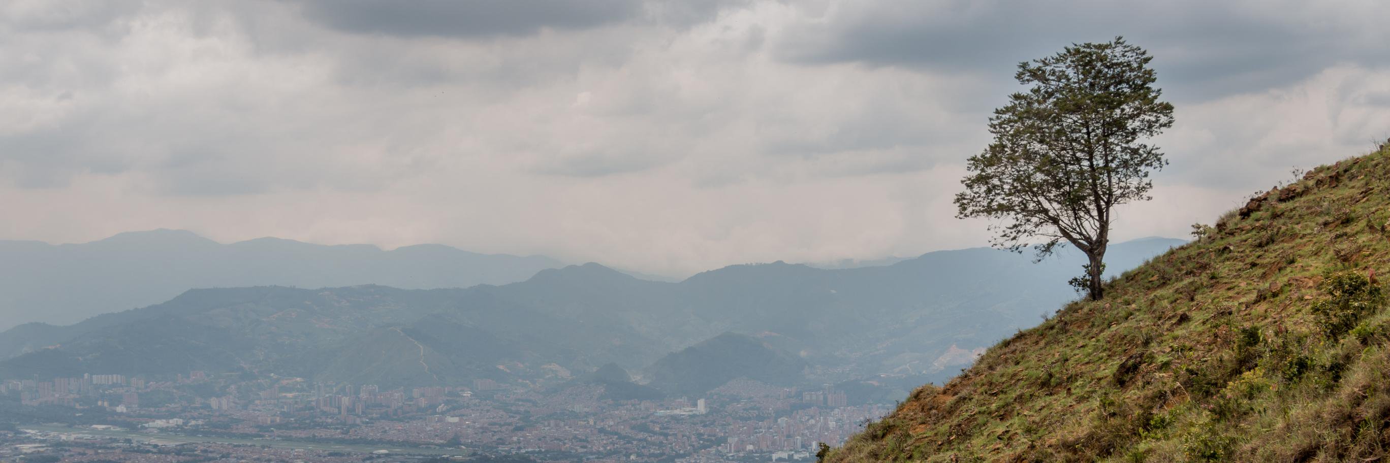 Oscar_Ec's profile banner image