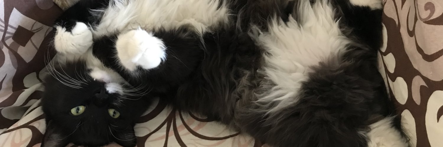 قُلِیدون banner