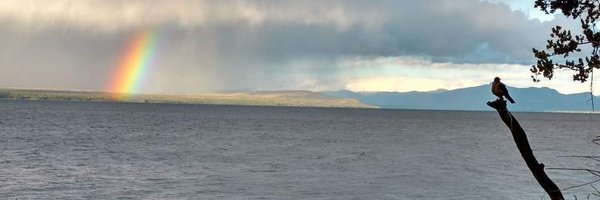 EriPorris Profile Banner