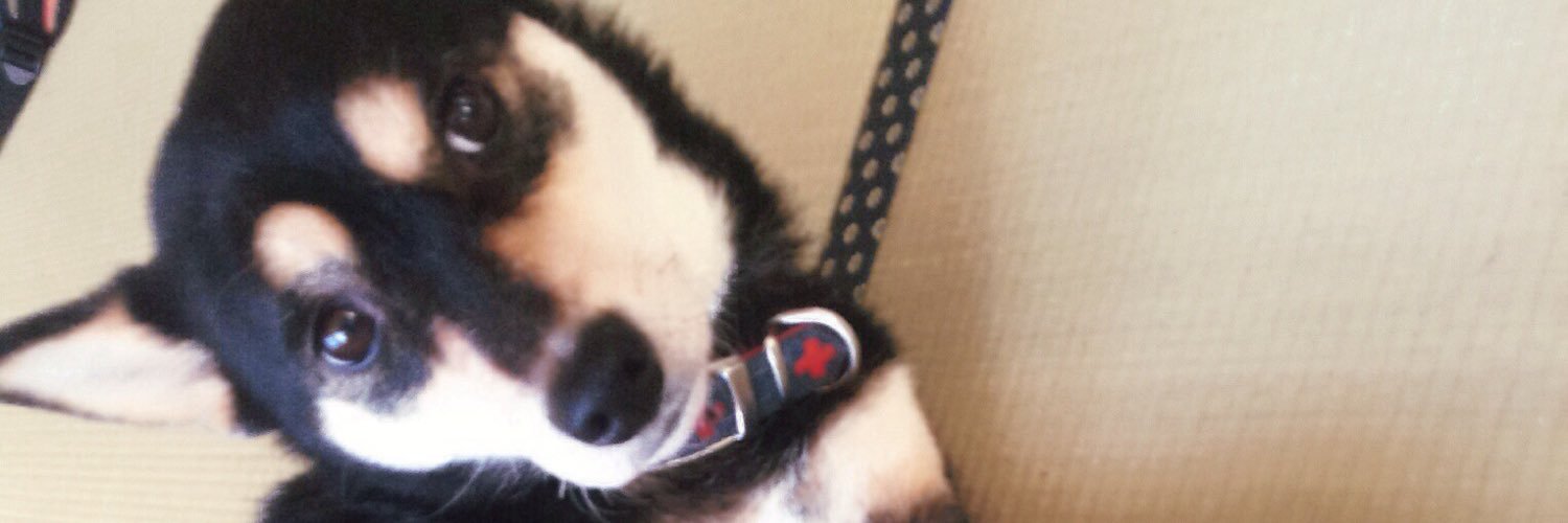 まなお🌾🍚 banner