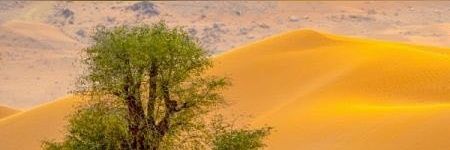 aboreem20500's profile banner image
