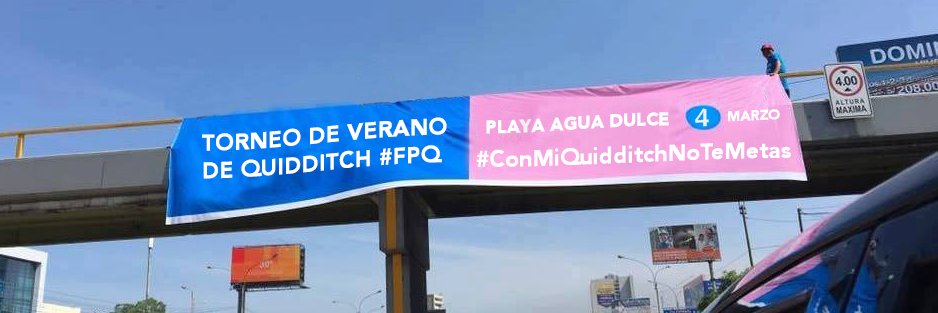 QuidditchPeru's profile banner image