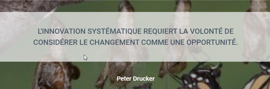 Fabrice Bazard banner