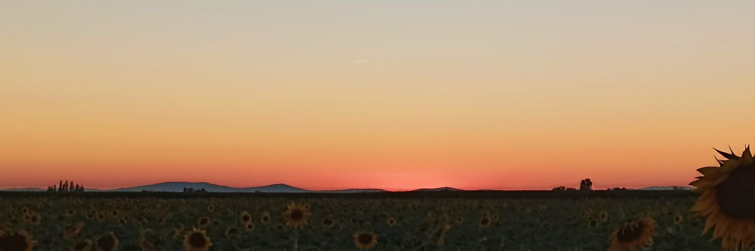 natallauu's profile banner image