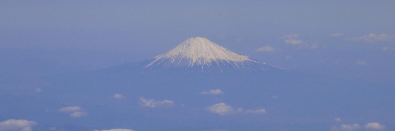 amiskwia's profile banner image