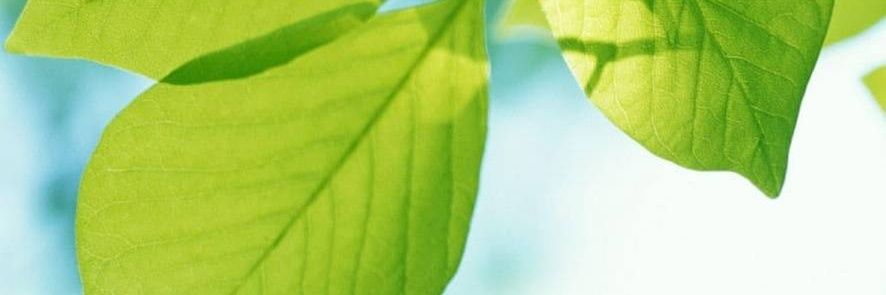 _labri's profile banner image
