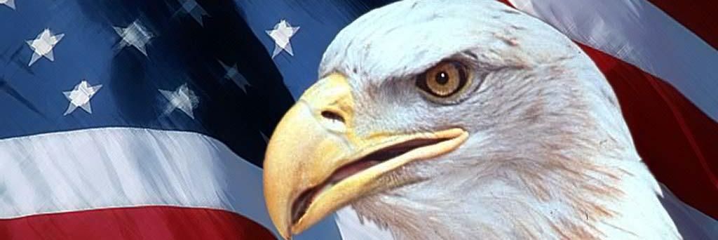 eden223's profile banner image
