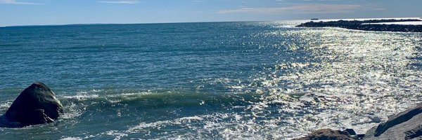 RhodyMeg Profile Banner