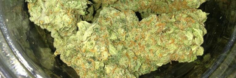 weedshop4200's profile banner image