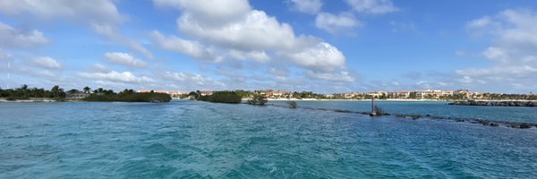 MuttyWeb Profile Banner