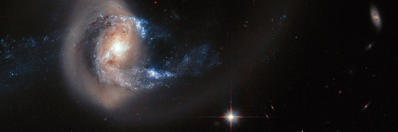 화성해파리 banner