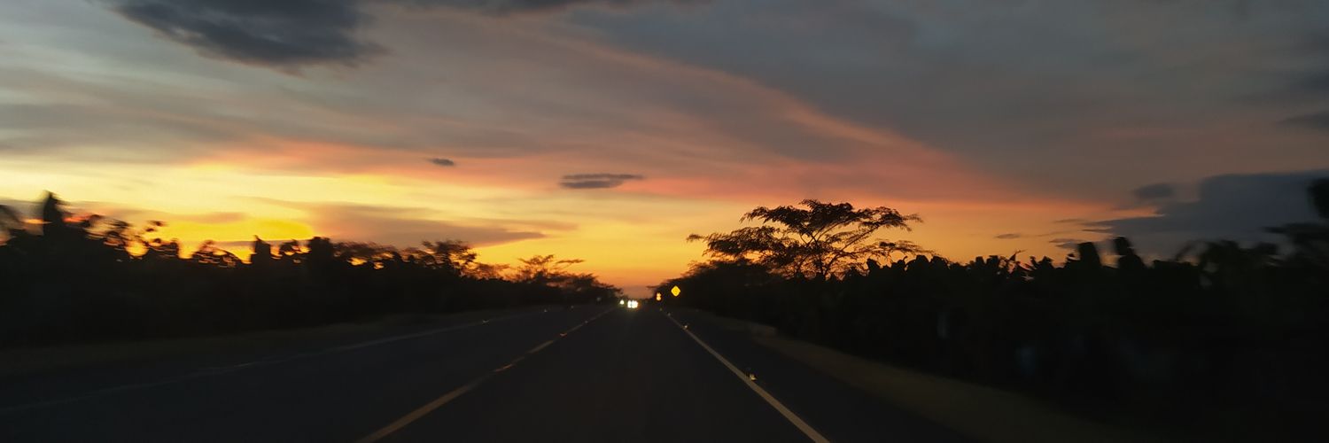 cecycastroc's profile banner image