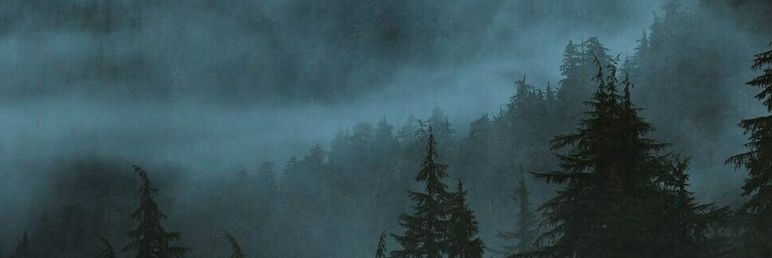 LeSuCHka's profile banner image