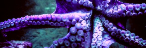 CheezayBallz Profile Banner