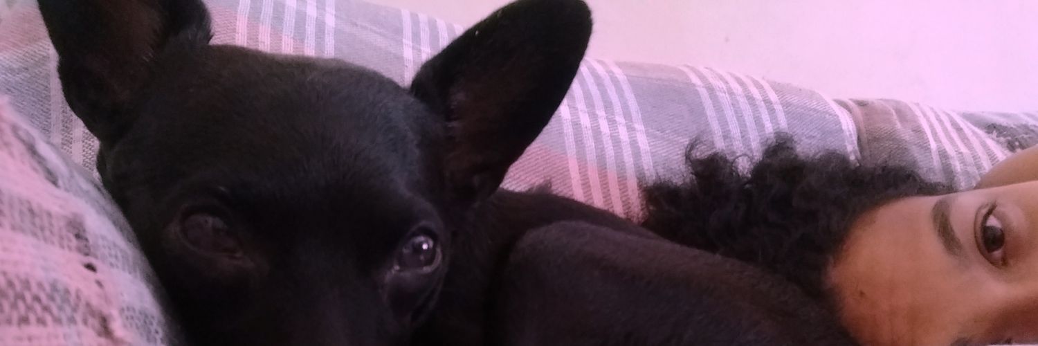 Littlequeiroz_'s profile banner image