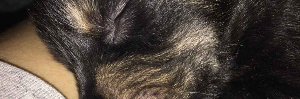 eduari09's profile banner image