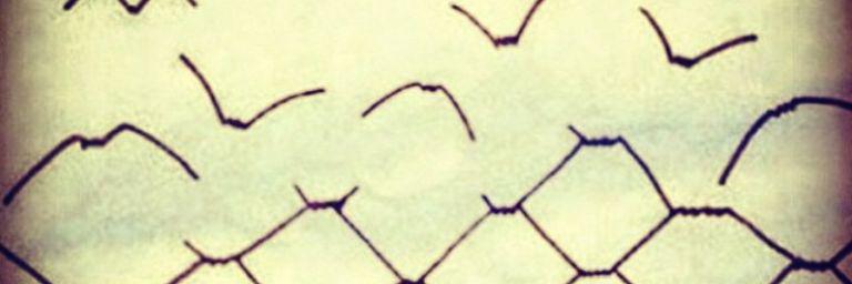 kriptotaylo's profile banner image