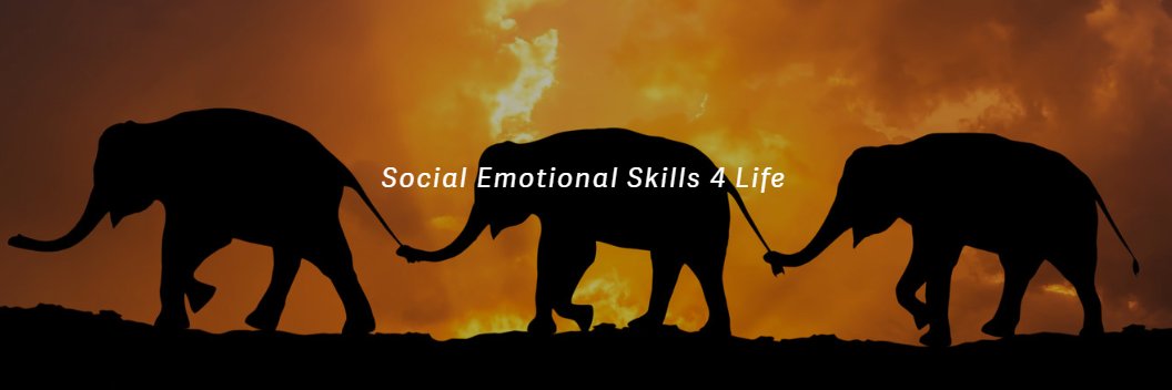 Psychological Flexibility 4 All banner