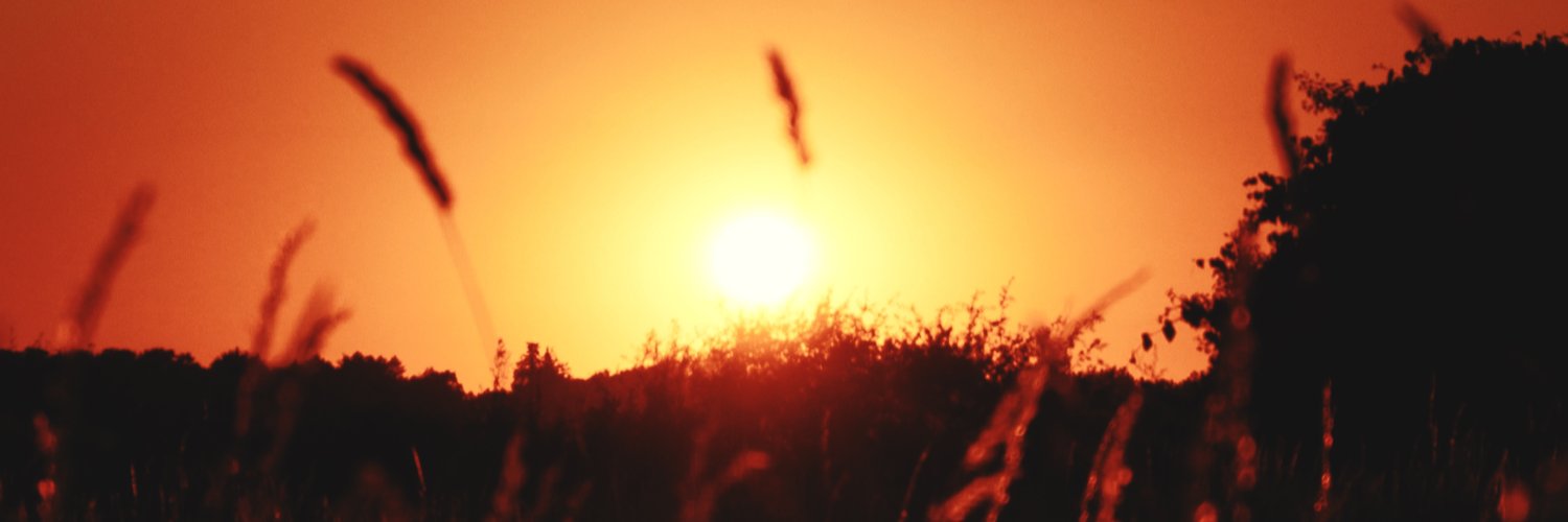 Uppwind Records banner