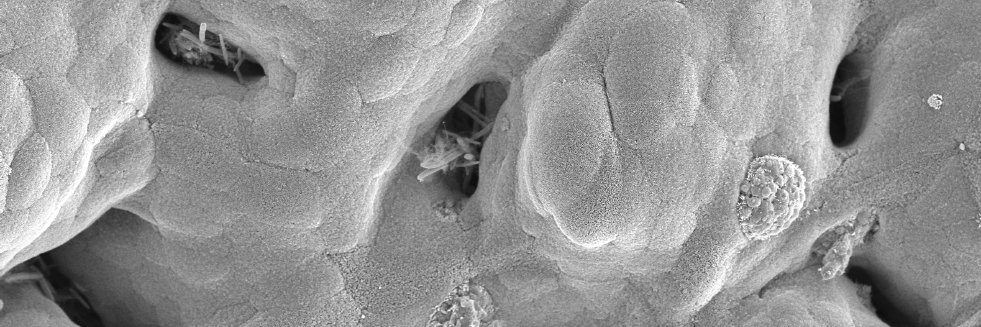 Dr Trevor Lawley banner