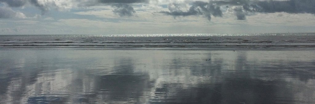 Alys Mererid Roberts banner