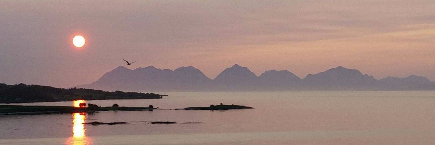 TrondHanssen5's profile banner image