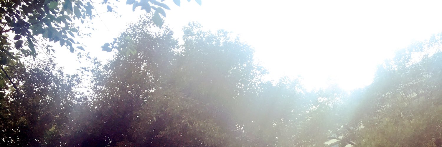 pacemm's profile banner image