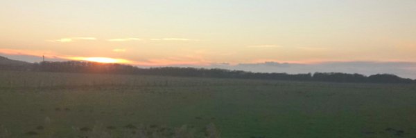 BookwormBean Profile Banner