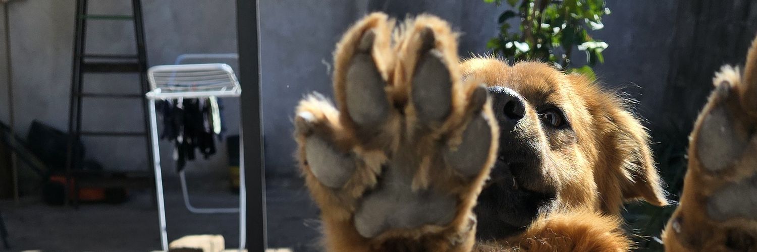 FerchuSiro's profile banner image