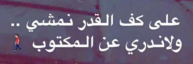 b_alhamlan's profile banner image