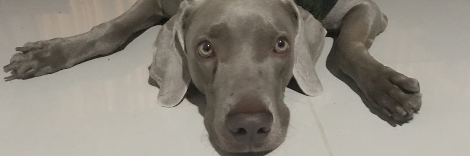 Valegogi's profile banner image