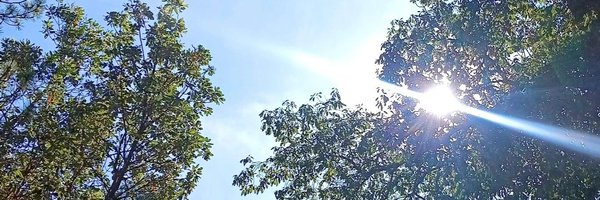 perseidefugaz Profile Banner