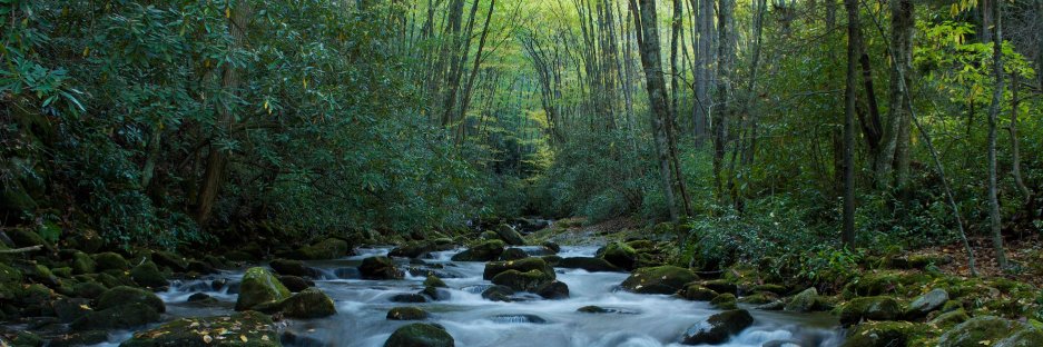 Robinson Design Engineers banner