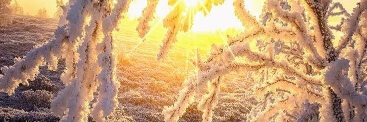 Melodienzauber's profile banner image