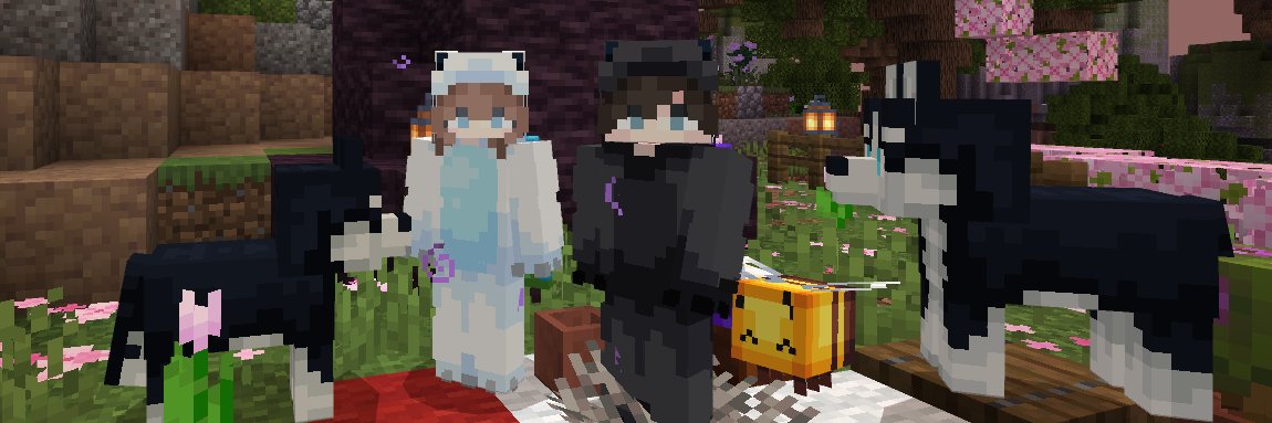 SALTY_Shadow banner