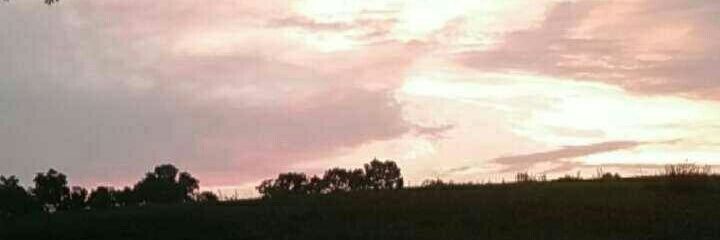 LivieAnna's profile banner image