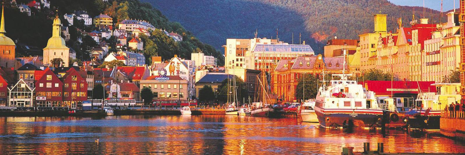 Knut Vindenes banner