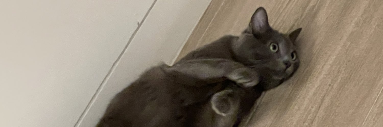 marcecerecer's profile banner image