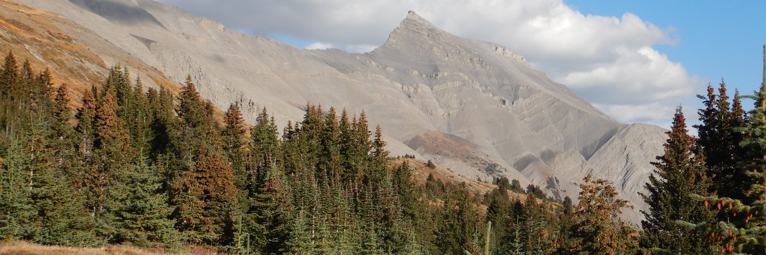 Marnel Muller banner